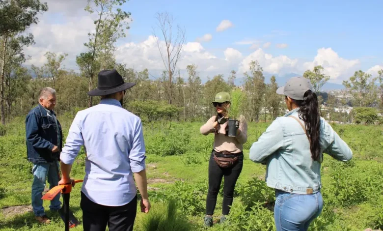 Arranca Gobierno estatal reforestación de Áreas Naturales Protegidas
