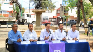 Alfonso Martínez inició una campaña para salvar árboles afectados por plagas