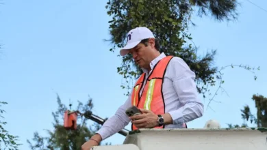 Alfonso Martínez supervisó la poda sanitaria de árboles en Av. Camelinas