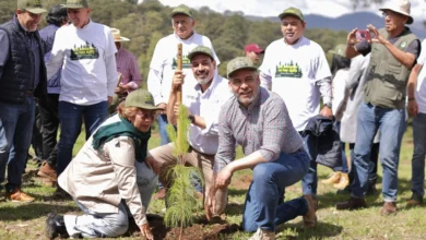 Bedolla arrancó una amplia campaña de reforestación estatal