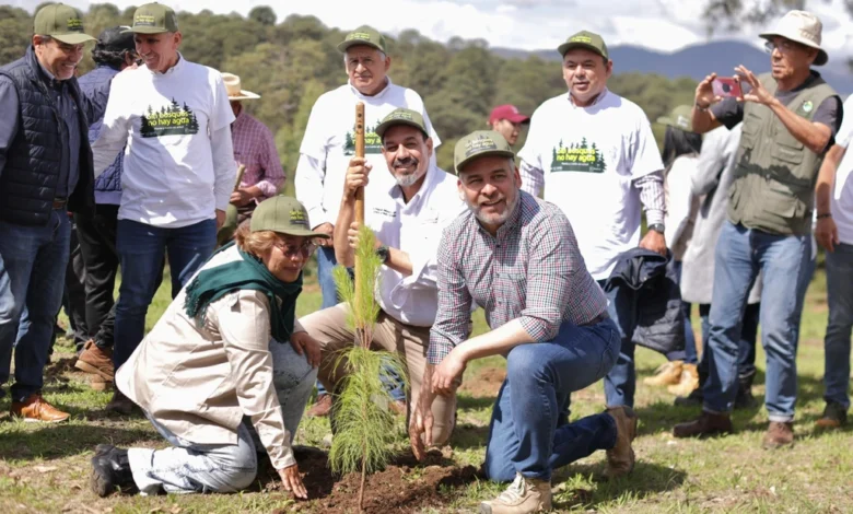 Bedolla arrancó una amplia campaña de reforestación estatal