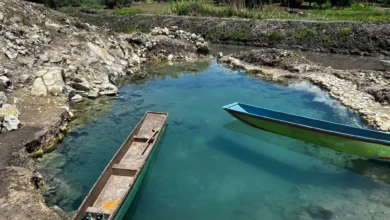 Con trabajos de rescate del lago de Pátzcuaro han rehabilitado 11 manantiales