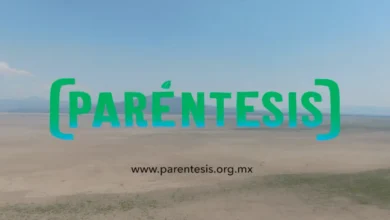 Crean Paréntesis, iniciativa de la sociedad civil en favor del medio ambiente