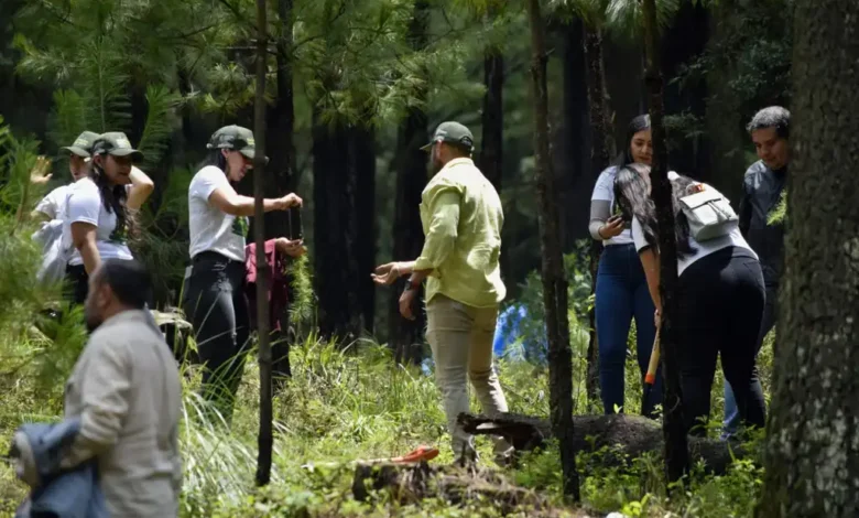 Dio inicio la plantación de 2 mil árboles en área protegida de Los Azufres