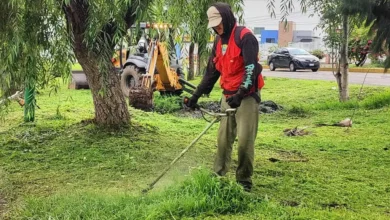 El Ayuntamiento moreliano y vecinos limpian camellones y avenidas