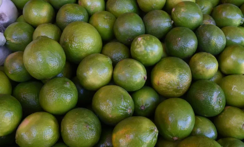 En julio el limón ha tenido su precio más bajo en Michoacán