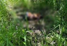 Hallan cadáver descompuesto en Lázaro Cárdenas