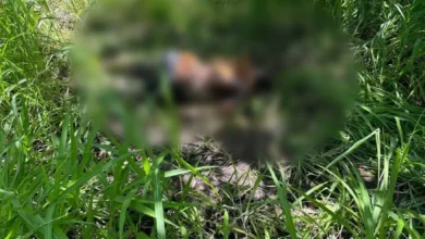 Hallan cadáver descompuesto en Lázaro Cárdenas