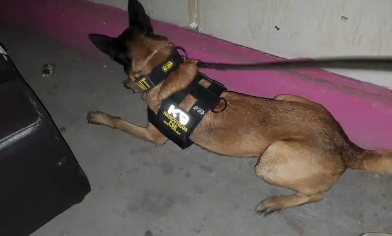 Hallan droga y detienen a un sujeto en cateo