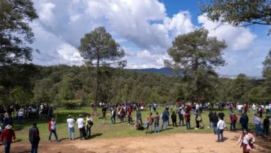 Iniciaron reforestación simultánea en 12 municipios de Michoacán