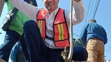 Invita el gobierno de Morelia a sumarse al programa “Planta un Árbol en tu Banqueta"