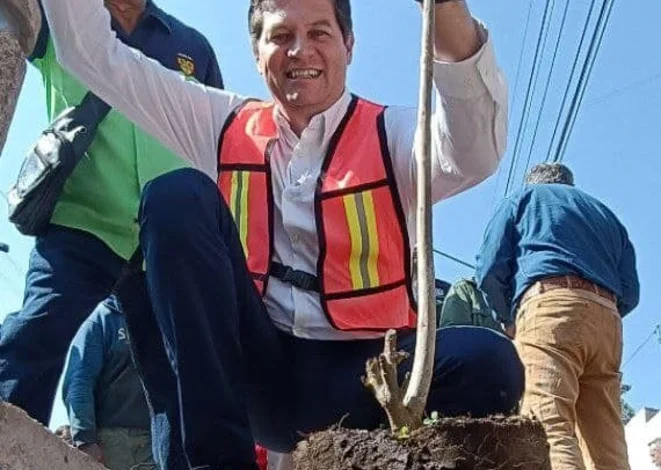 Invita el gobierno de Morelia a sumarse al programa “Planta un Árbol en tu Banqueta"