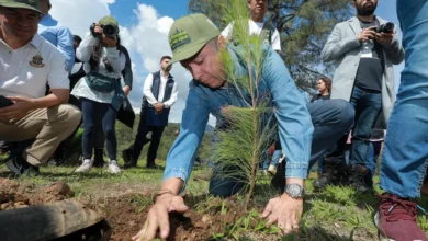 La restauración de la naturaleza es un estilo de vida y no una ocurrencia