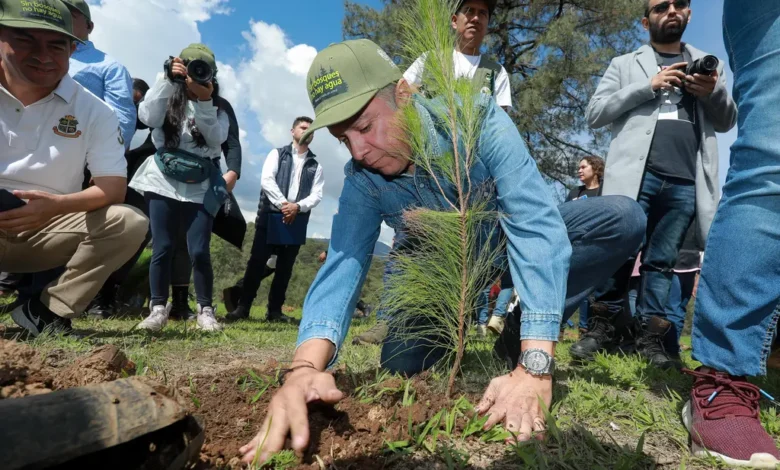 La restauración de la naturaleza es un estilo de vida y no una ocurrencia
