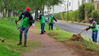 Limpian los camellones del sur de Morelia