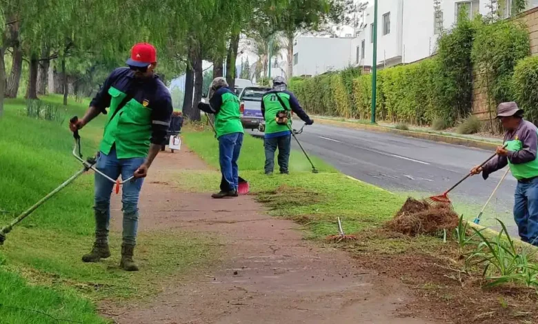 Limpian los camellones del sur de Morelia