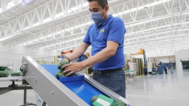 Michoacán es primer lugar nacional en exportaciones agrícolas