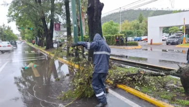 Morelia ha retirado más de 60 toneladas de residuos en las últimas 36 horas
