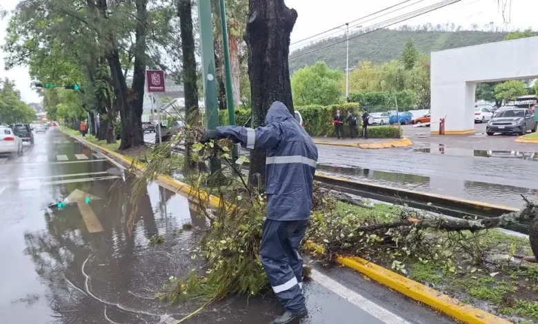 Morelia ha retirado más de 60 toneladas de residuos en las últimas 36 horas