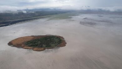 Para recuperar el lago de Cuitzeo se han invertido 200 mdp