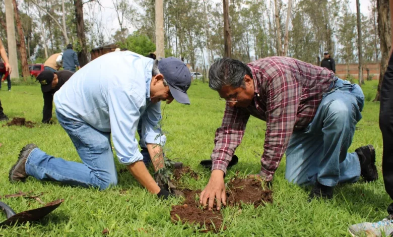 Reforesta Gobierno estatal Área Natural Protegida Piedra del Indio, en Morelia