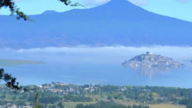 Reforestación, con prioridad en Áreas Naturales Protegidas, cuenca del lago de Pátzcuaro y zonas incendiadas