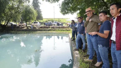 Tecnificarán el módulo de riego Chapultepec para cuidar el agua