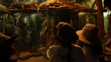Todavía puedes inscribirte como explorador en el curso de verano del zoológico