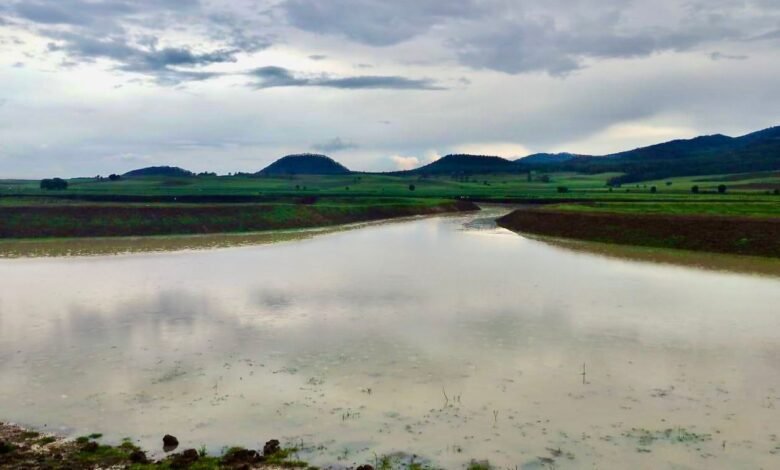 Tras limpieza, renace laguna de Zinciro, en Erongarícuaro