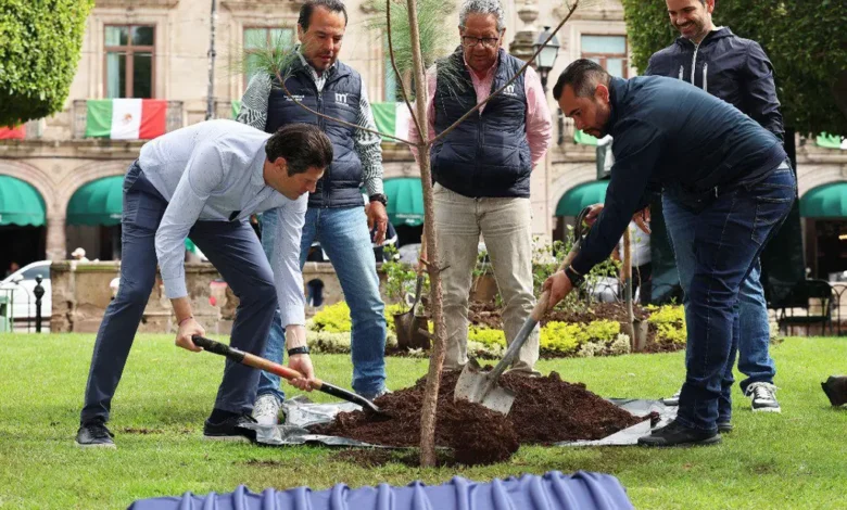 Alfonso Martínez planta el árbol "un millón" en Morelia