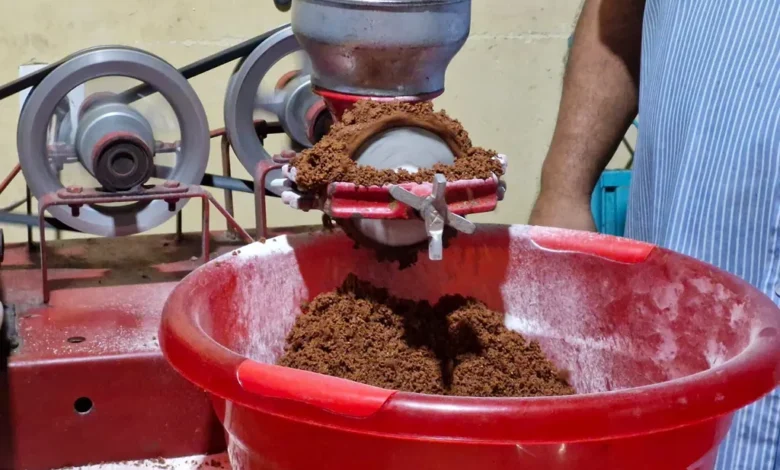 Michoacán tiene las condiciones idóneas para la producción de cacao