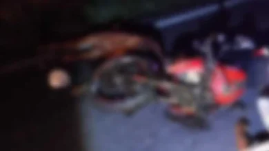 Motociclista quedó malherido por choque contra potrillo