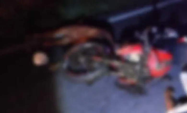 Motociclista quedó malherido por choque contra potrillo