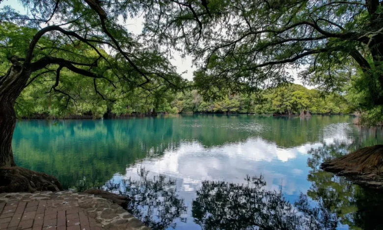 Bedolla ha decretado más de 146 mil hectáreas como Áreas Naturales Protegidas