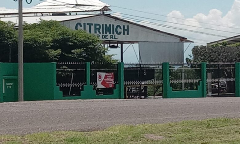 Ver más nota roja de Michoacán Síguenos en: Facebook/NoticiasEnSintesis Twitter@NsintesisMich