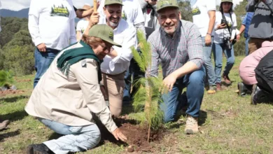 Con Plan Morelos sectores agrícola e industrial remediarán daños que causen al ambiente