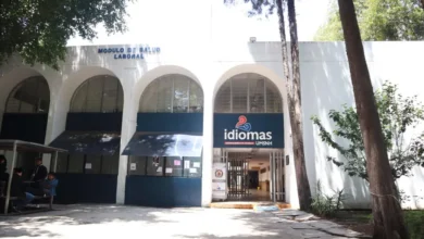 Programas de idiomas Unikids y UniTeens de la UMSNH, a punto de cerrar inscripciones