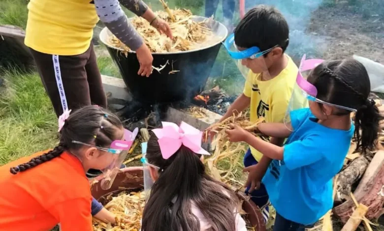 Sader ha puesto en marcha 2 mil huertos escolares en 350 planteles