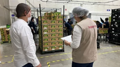 Sancionadas, 18 empresas por incumplir con sus trabajadores