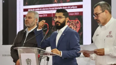 Se envió a aguacateros la lista de las huertas que deforestaron