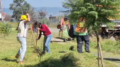 Ayuntamiento de Morelia y vecinos, participan en la limpieza integral en Bonanza