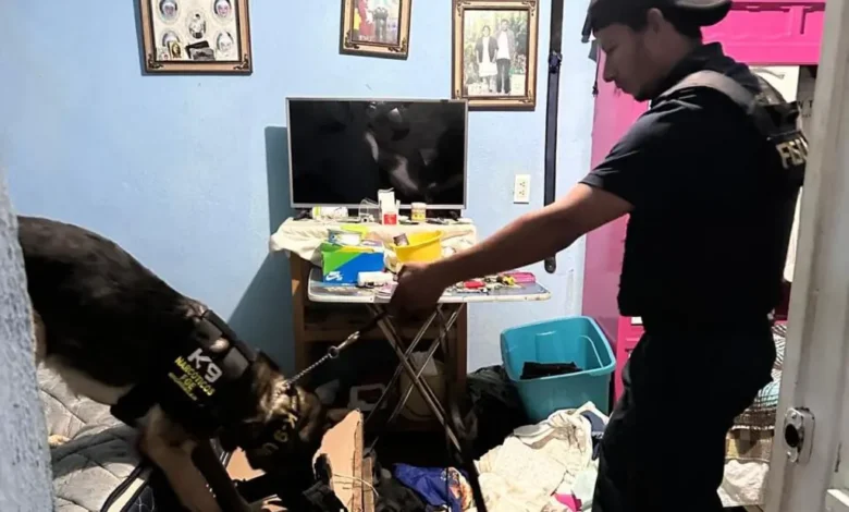 En Morelia, decomisaron drogas halladas en un cateo
