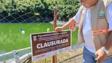 Han sido clausuradas 15 ollas de agua ilegales en Erongarícuaro durante 2024