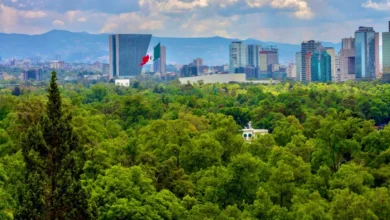 Medio ambiente en el naciente sexenio