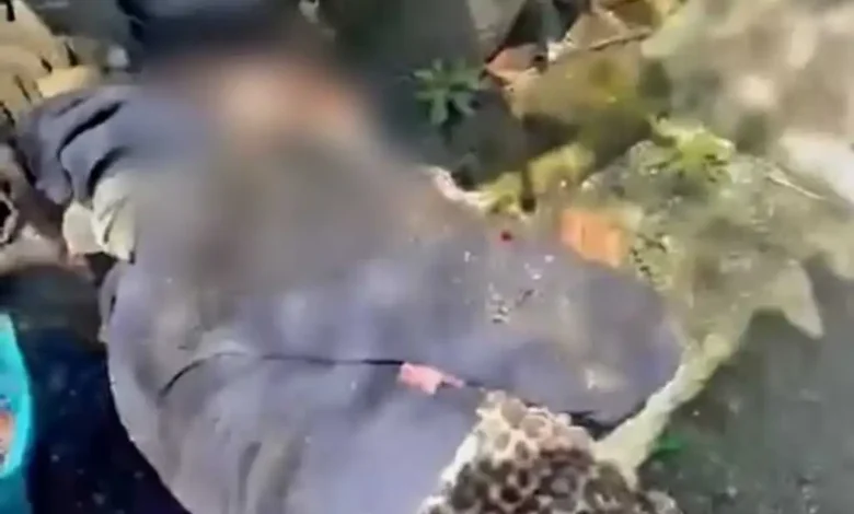 Muere a consecuencia de una golpiza un hombre acusado de ladrón