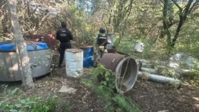 Destruyeron narcolaboratorio en Buenavista