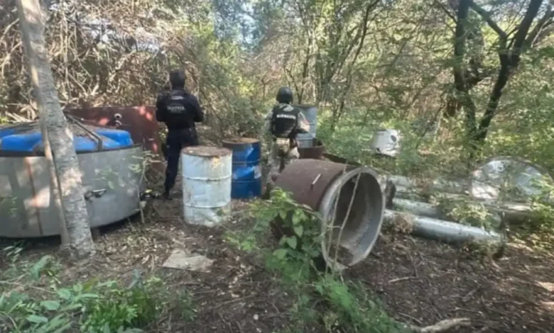 Destruyeron narcolaboratorio en Buenavista