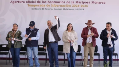 Abren temporada los Santuarios de la Monarca