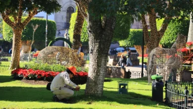Ver más Noticias de Morelia Síguenos en: Facebook/NoticiasEnSintesis Twitter@NsintesisMich
