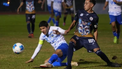 Son los Zorros de la UMSNH sublíderes de su grupo